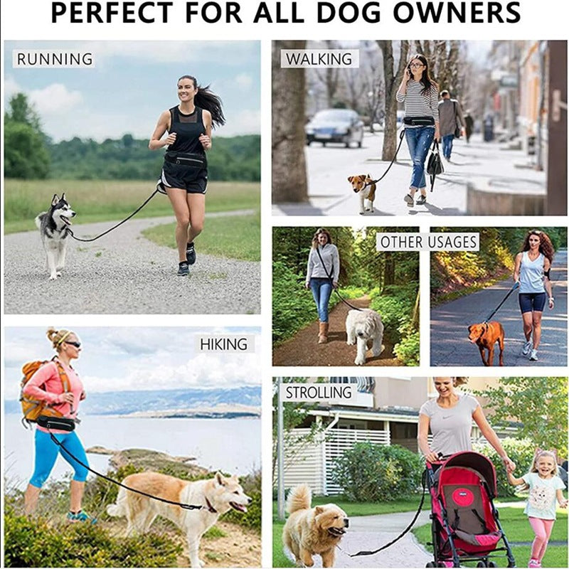 Hands-Free Dog Leash with Adjustable Waist Belt & Shock-Absorbing Bungee