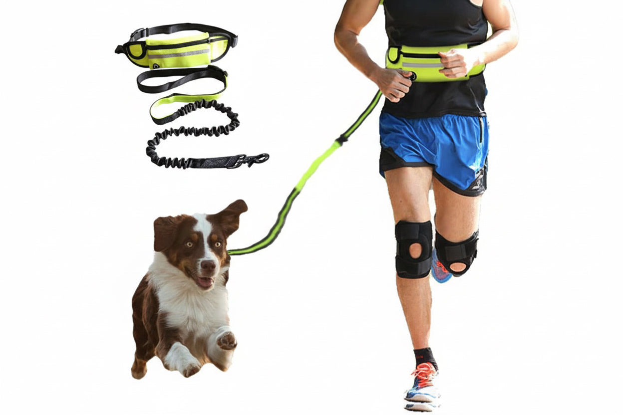 Hands-Free Dog Leash with Adjustable Waist Belt & Shock-Absorbing Bungee